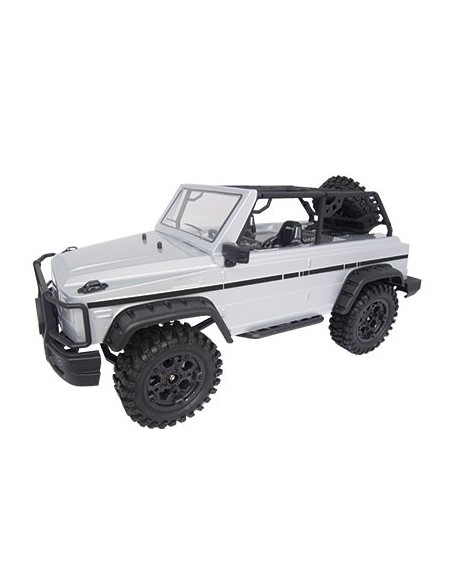Modélisme Voiture Surpass sauvage 4WD Crawler 1:10 RTR - LCDP - Radiocommande.fr
