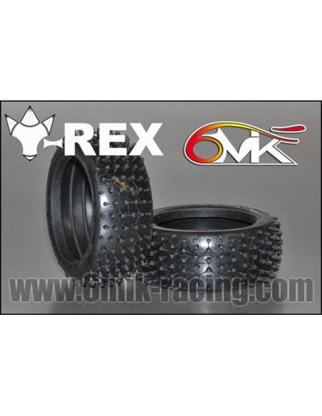 Pneus "T-Rex" 21/40° + jantes + Inserts (la paire) - LCDP - Radiocommande.fr