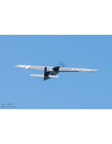 Avion Foxx - LCDP - Radiocommande.fr