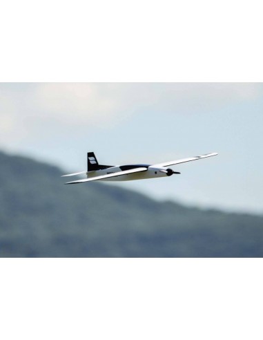 Avion Foxx - LCDP - Radiocommande.fr