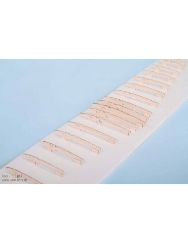 Avion Foxx - LCDP - Radiocommande.fr