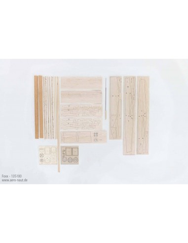 Avion Foxx - LCDP - Radiocommande.fr