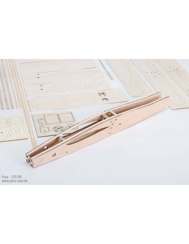 Avion Foxx - LCDP - Radiocommande.fr