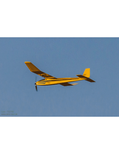 Planeur Luxx - LCDP - Radiocommande.fr