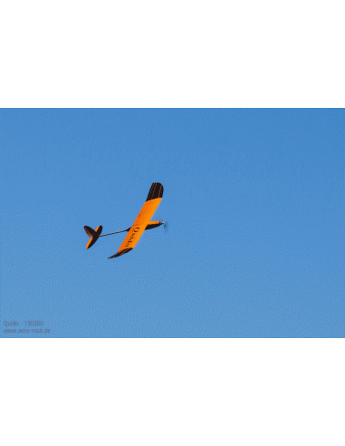 Planeur Quido - LCDP - Radiocommande.fr