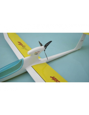 Planeur Aero-Master E-Segler - LCDP - Radiocommande.fr