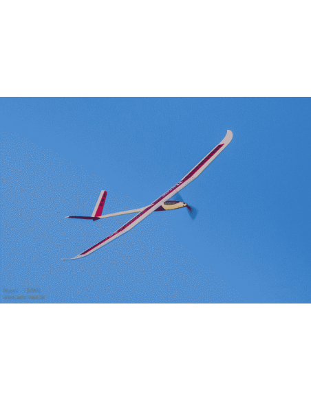 Planeur Noemi - LCDP - Radiocommande.fr