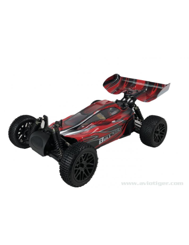 Voiture BLACKBULL 1/10 BRUSHLESS BUGGY | Ventedemodelisme.fr