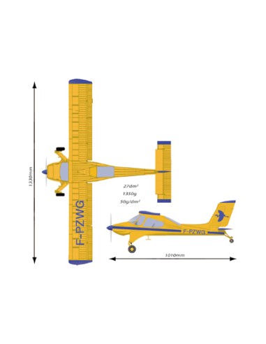 Avion WILGA 2000 - LCDP - Radiocommande.fr