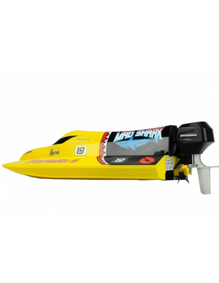 Modélisme Mad Shark brushed 2.4GHz RTR - LCDP - Radiocommande.fr