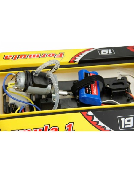 Modélisme Mad Shark brushed 2.4GHz RTR - LCDP - Radiocommande.fr