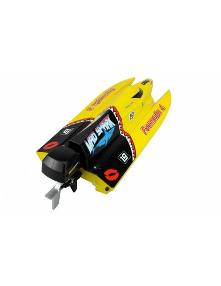 Modélisme Mad Shark brushed 2.4GHz RTR - LCDP - Radiocommande.fr