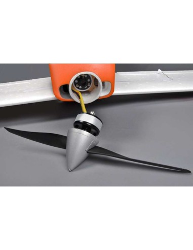 Avion Skytrainer EP - LCDP - Radiocommande.fr