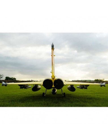 Avion Jet 80mm EDF Dassault Rafale PNP kit w/ free reflex system