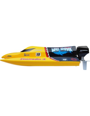 Modélisme Bateau Mad Shark Mini F1 Tunnel RTS de JOYSWAY HOBBY