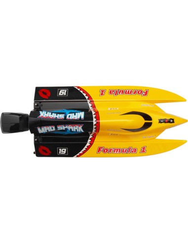 Modélisme Bateau Mad Shark Mini F1 Tunnel RTS de JOYSWAY HOBBY