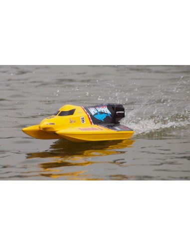Modélisme Bateau Mad Shark Mini F1 Tunnel RTS de JOYSWAY HOBBY