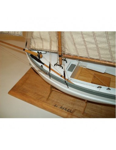 Maquette statique/radiocommandable RIGEL