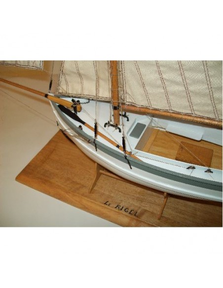 Maquette statique/radiocommandable RIGEL | Ventedemodelisme.fr