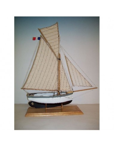 Maquette statique/radiocommandable RIGEL