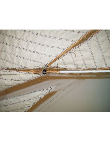 Maquette statique/radiocommandable RIGEL