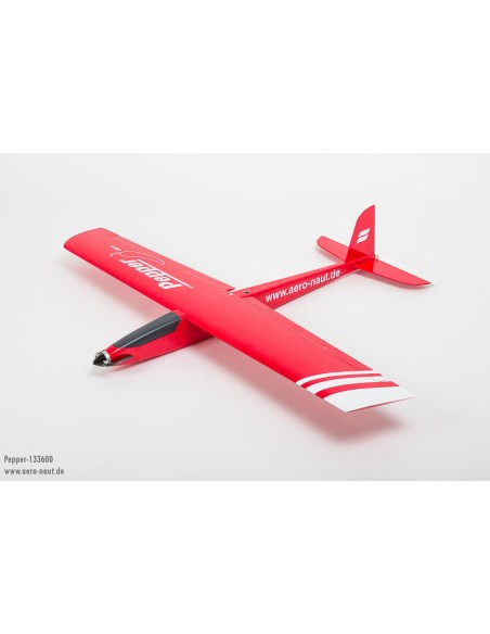 Planeur Poivre