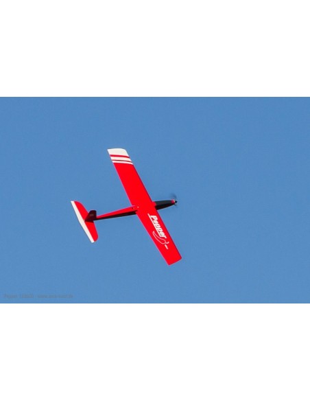 Planeur Poivre