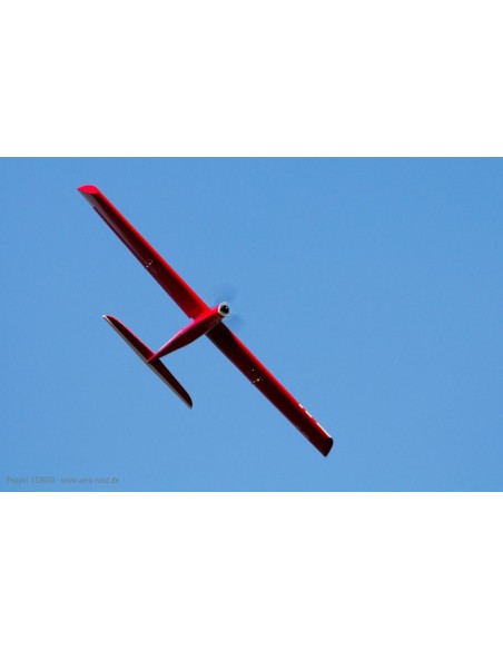 Planeur Poivre