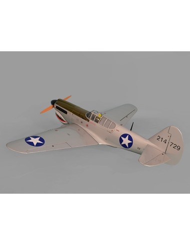 Avion Phoenix Model P40 Warhawk 30-35cc GP/EP ARF 2.04m