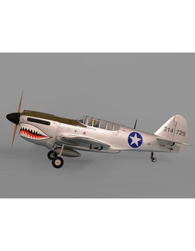 Avion Phoenix Model P40 Warhawk 30-35cc GP/EP ARF 2.04m