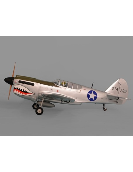 Avion Phoenix Model P40 Warhawk 30-35cc GP/EP ARF 2.04m