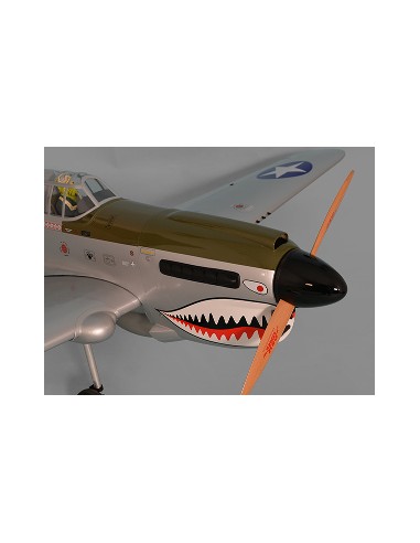 Avion Phoenix Model P40 Warhawk 30-35cc GP/EP ARF 2.04m