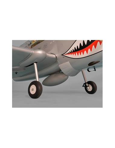 Avion Phoenix Model P40 Warhawk 30-35cc GP/EP ARF 2.04m