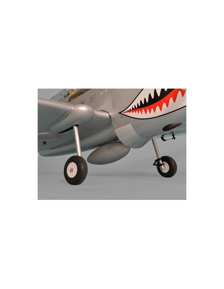 Avion Phoenix Model P40 Warhawk 30-35cc GP/EP ARF 2.04m