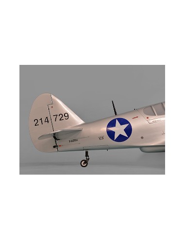 Avion Phoenix Model P40 Warhawk 30-35cc GP/EP ARF 2.04m