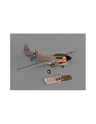Avion Phoenix Model P40 Warhawk 30-35cc GP/EP ARF 2.04m