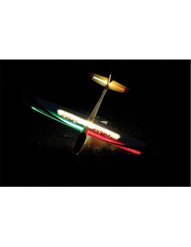 Modelisme planeur Rc Robbe Modellsport ARCUS II PNP PLANEUR RC