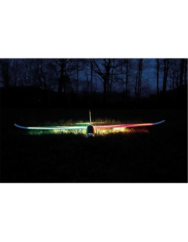 Modelisme planeur Rc Robbe Modellsport ARCUS II PNP PLANEUR RC