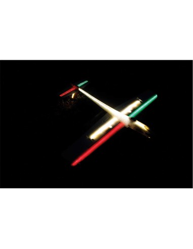 Modelisme planeur Rc Robbe Modellsport ARCUS II PNP PLANEUR RC
