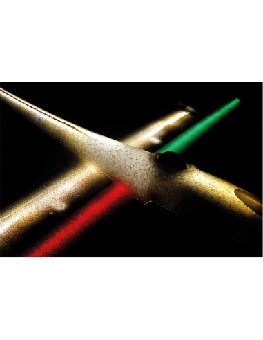 Modelisme planeur Rc Robbe Modellsport ARCUS II PNP PLANEUR RC