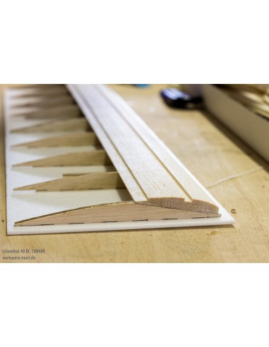 Planeur Lilienthal 40