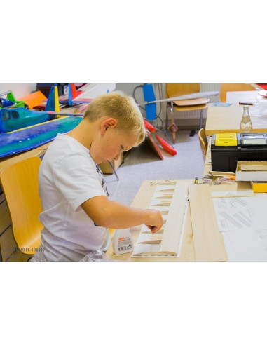 Planeur Lilienthal 40