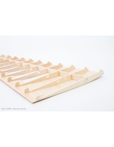 Planeur rc, planeur électrique Ailes volantes Soleo