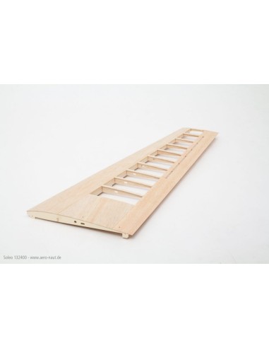 Planeur rc, planeur électrique Ailes volantes Soleo