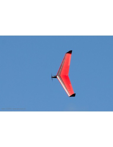 Planeur rc, planeur électrique Ailes volantes Soleo