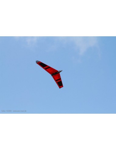 Planeur rc, planeur électrique Ailes volantes Soleo