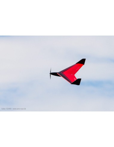 Planeur rc, planeur électrique Ailes volantes Soleo