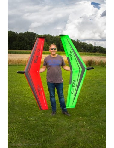 Planeur rc, planeur électrique Ailes volantes Soleo