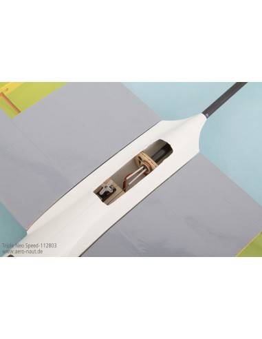 Planeur rc, planeur Triple Néo Thermique