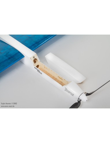 Planeur rc, planeur Triple Thermique